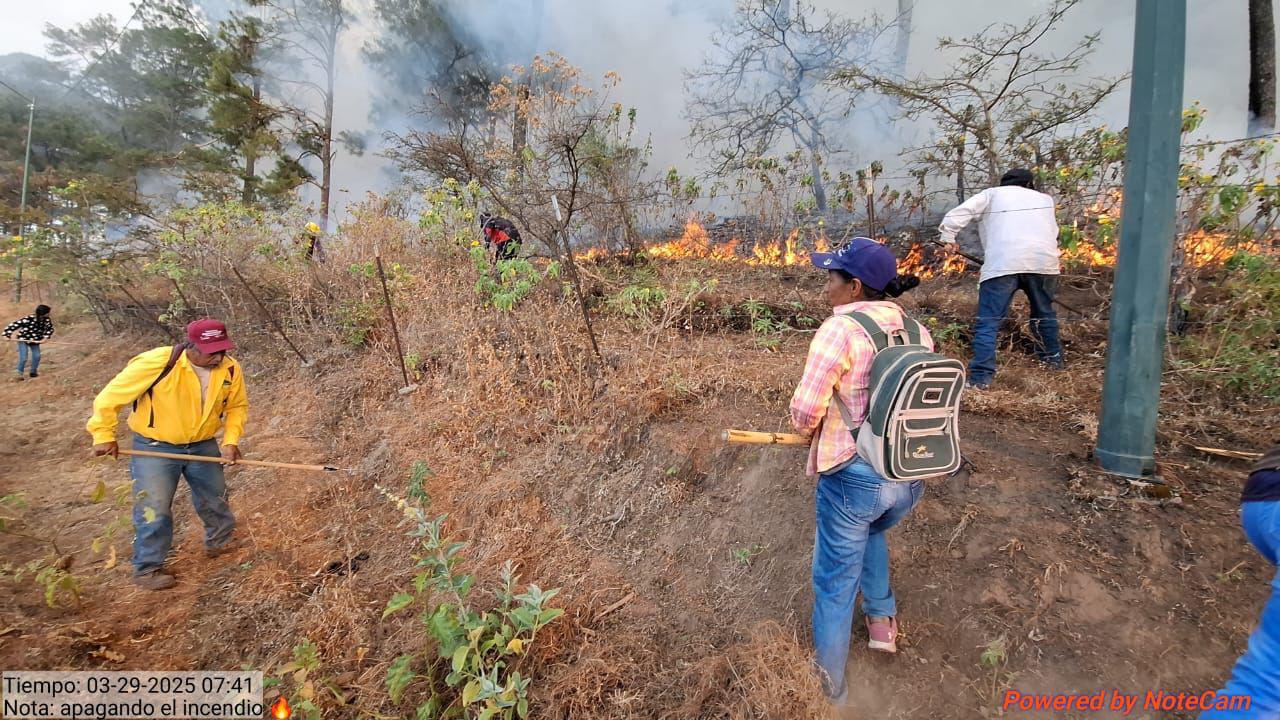 $!Reporta Gobierno de Sinaloa que incendio en sierra de Concordia está controlado