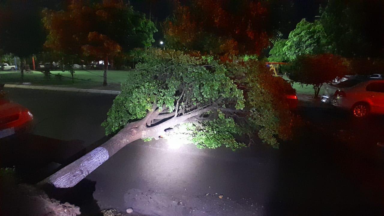 $!Caída de espectaculares, árboles y desbordamiento de arroyos dejan lluvias en Culiacán