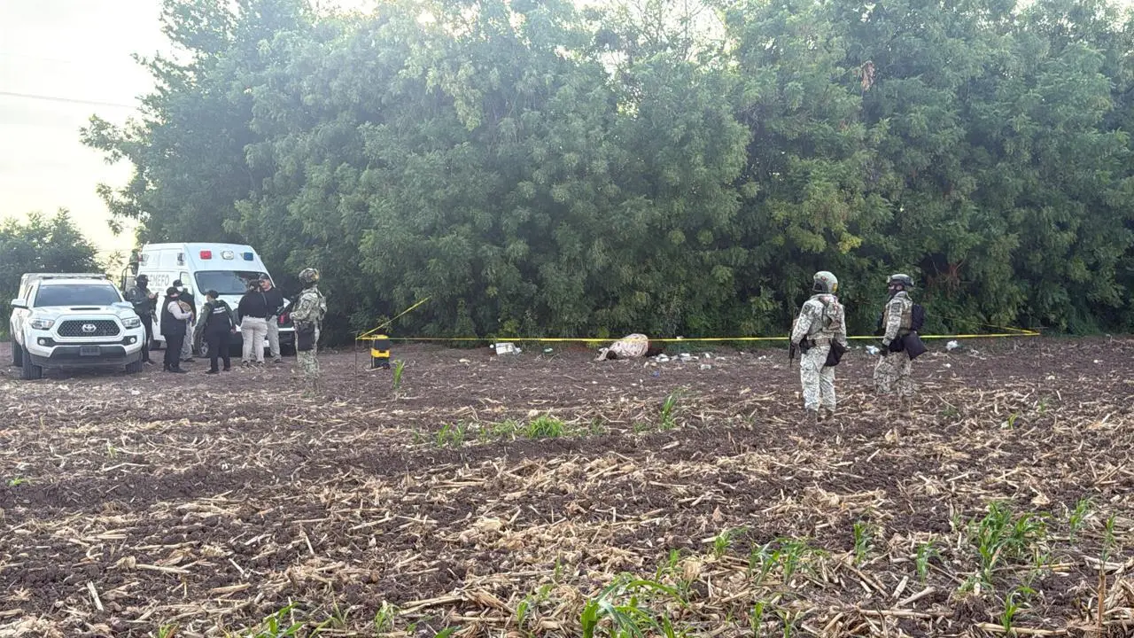 $!Hallan a un hombre envuelto en cobijas en parcela de Campo Aníba, en Navolato