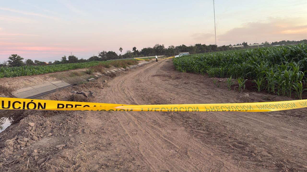 $!Localizan cuerpo enterrado en campo agrícola de la comunidad Laguna de San Pedro, en Navolato