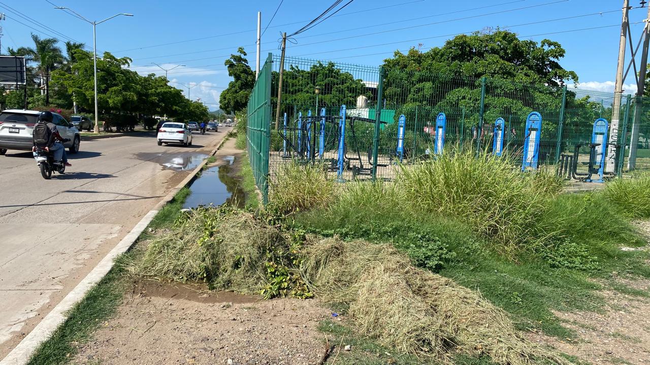 $!Limpian en La Foresta, pero ‘olvidan’ basura entre agua estancada y no atienden descargas de drenaje al Arroyo Jabalines