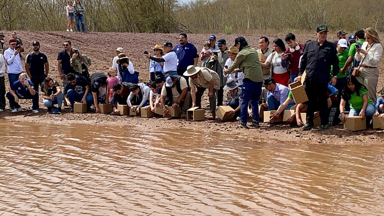 $!Rescata santuario Ostok a más de mil 800 animales del tráfico, violencia y del abandono