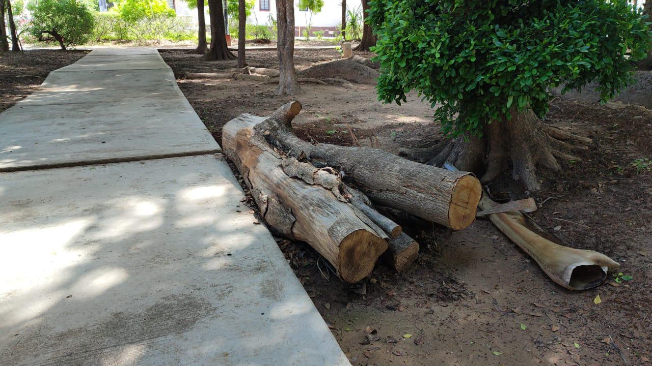 $!Atenderá Imdem rehabilitación de cancha de baloncesto del Sábalo Country