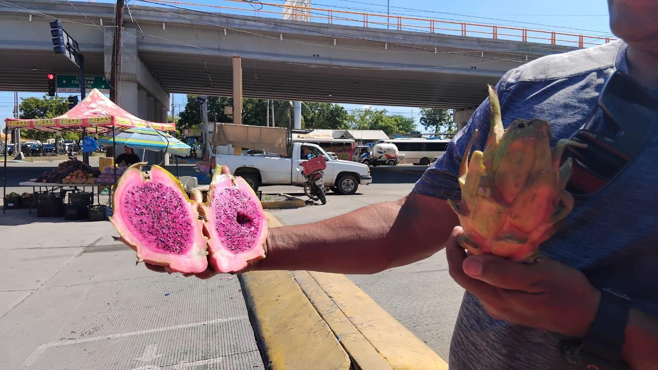 $!Llega la pitahaya saludable y de temporada a los cruceros de Mazatlán