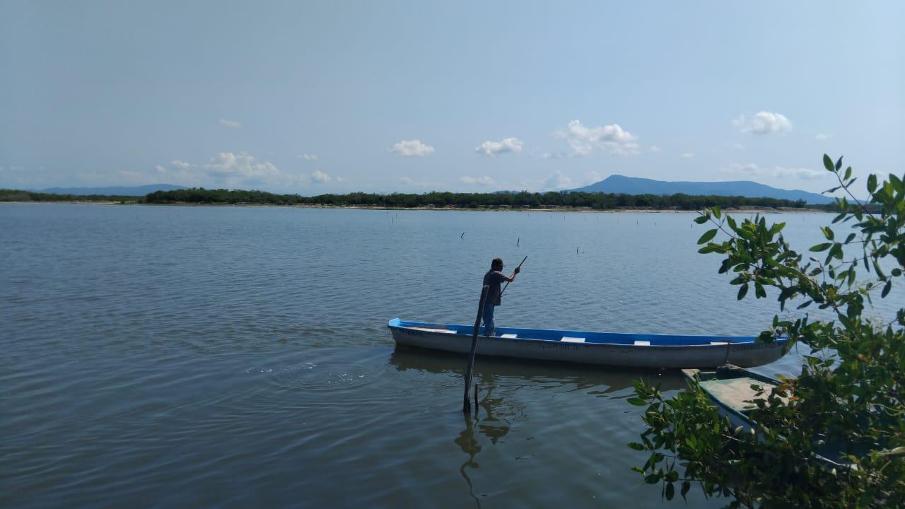 $!Desolador inicio de capturas del camarón, señalaron pescadores del sur de Sinaloa