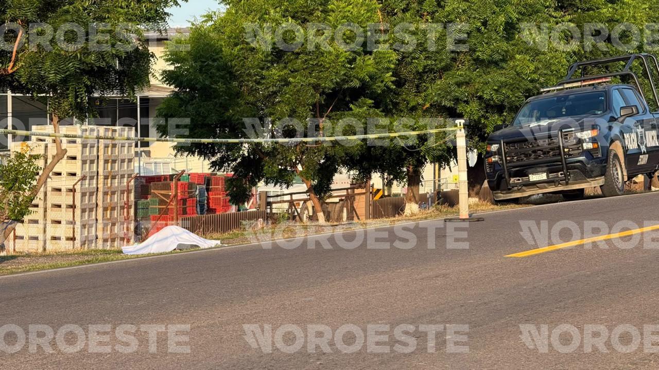 $!Asesinan a otra mujer en Escuinapa; suman 14 víctimas