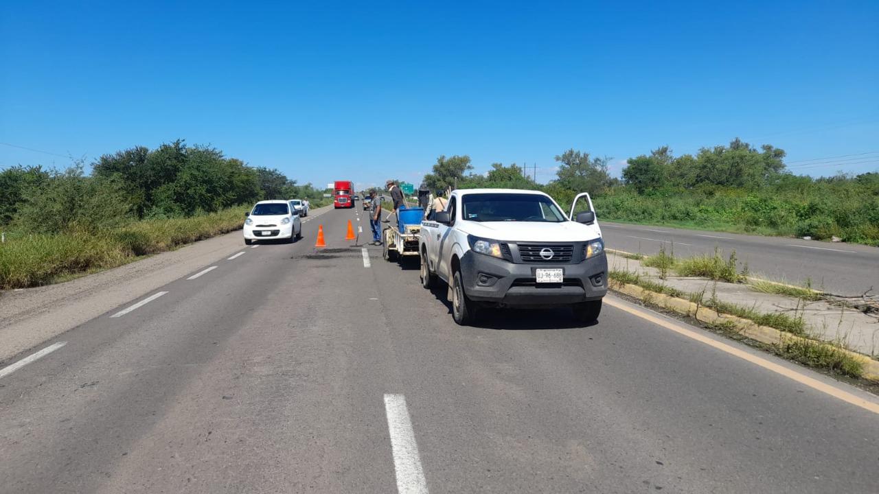 $!Aunque no le corresponde, Gobierno de Guasave ‘bachea’ la carretera México 15