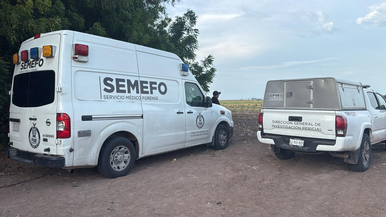 $!Hallan a un hombre envuelto en cobijas en parcela de Campo Aníba, en Navolato