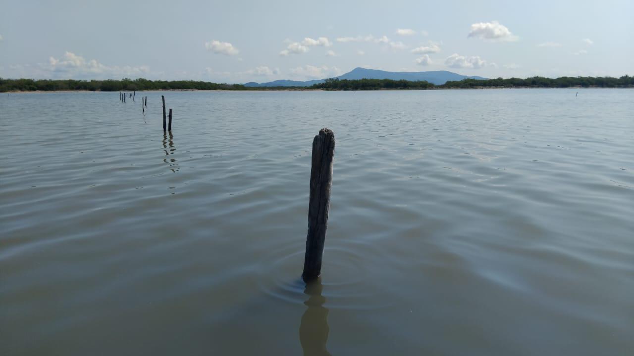 $!Desolador inicio de capturas del camarón, señalaron pescadores del sur de Sinaloa