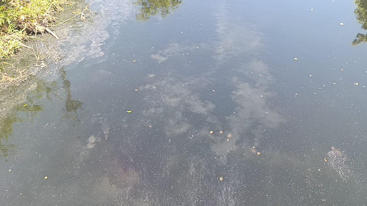 $!Alcantarilla arroja aguas residuales al arroyo Buñigas en Escuinapa