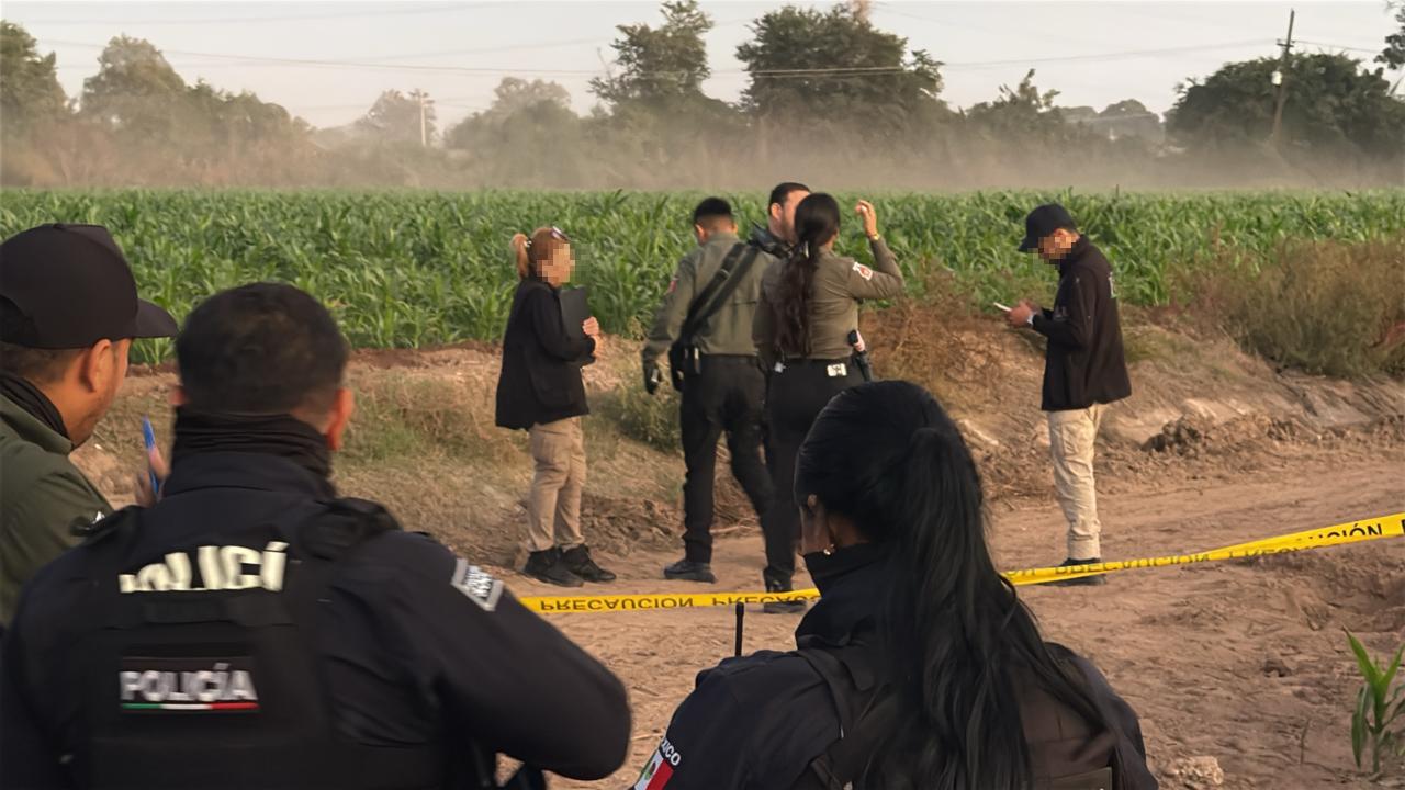 $!Localizan cuerpo enterrado en campo agrícola de la comunidad Laguna de San Pedro, en Navolato