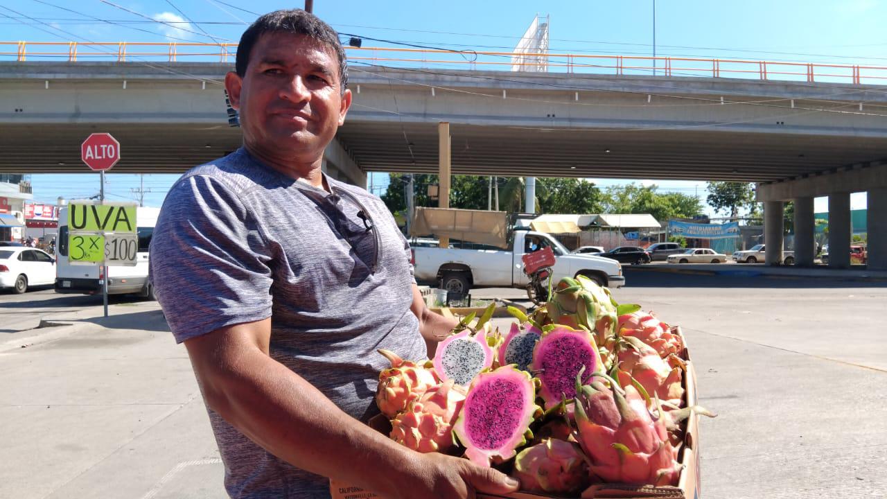 $!Llega la pitahaya saludable y de temporada a los cruceros de Mazatlán
