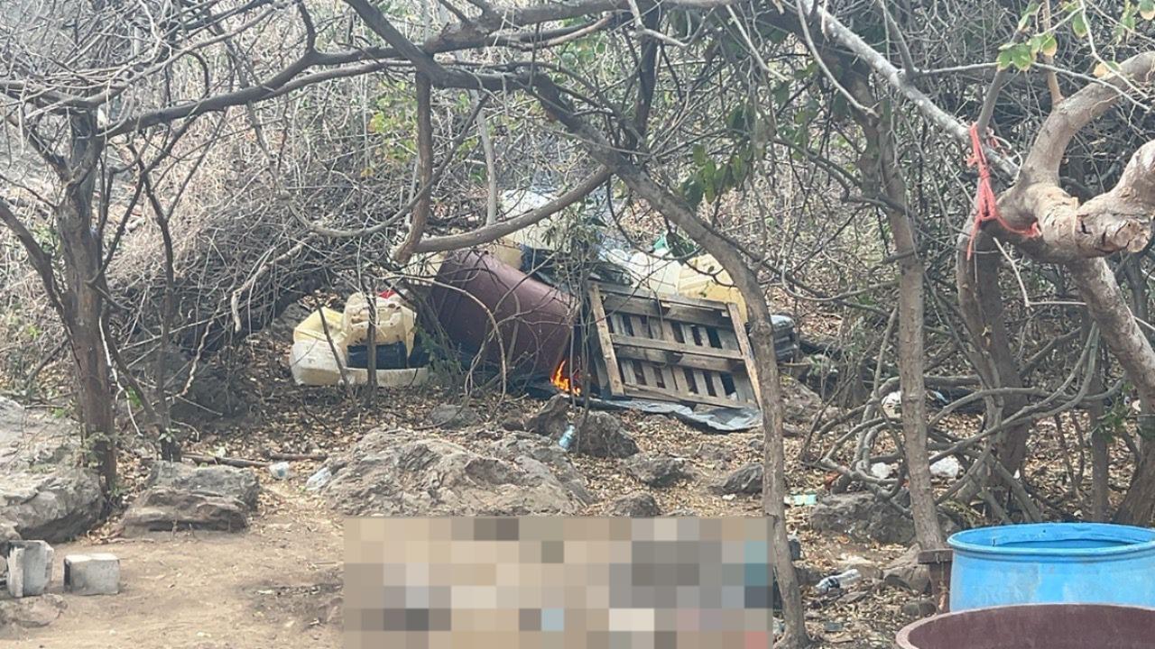 $!Marina inhabilita laboratorio clandestino y plantío de mariguana en Culiacán