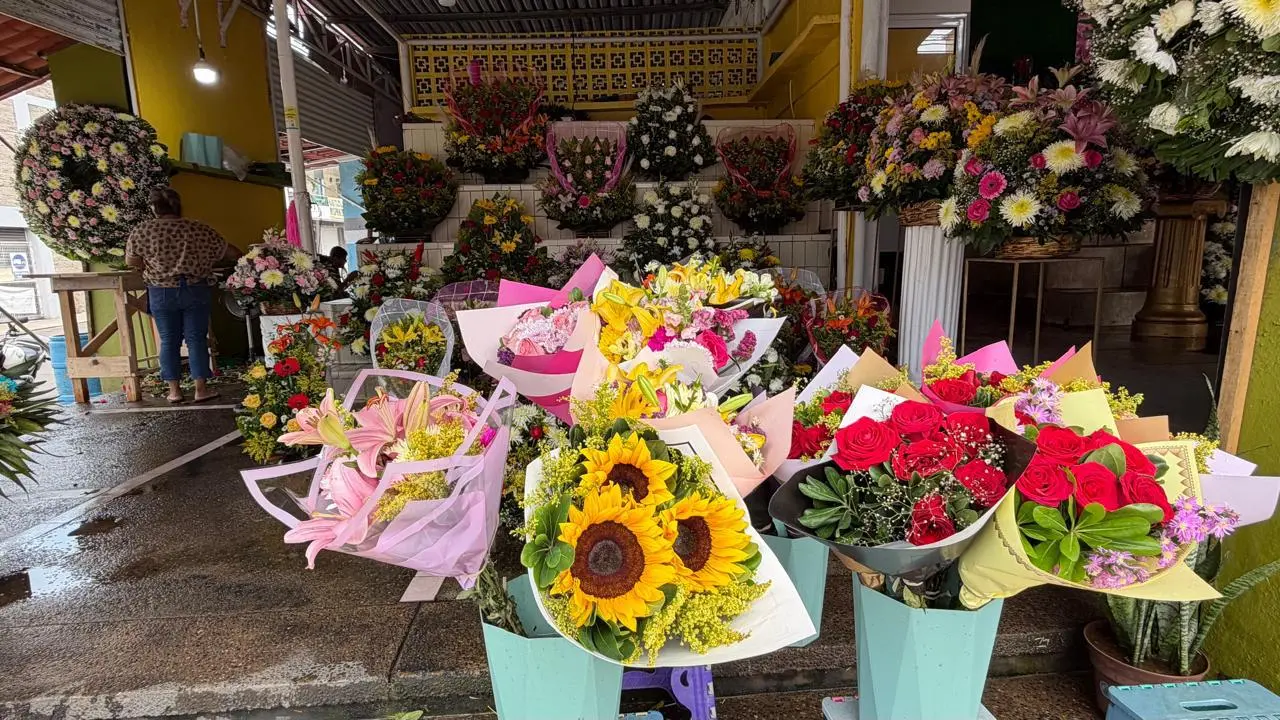 $!Buscan jóvenes las flores amarillas en Mazatlán
