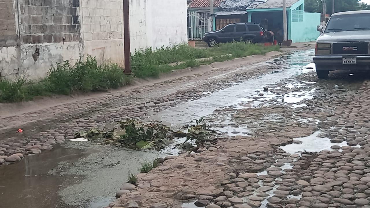 $!Se quejan vecinos de aguas pestilentes de un drenaje colapsado en la calle Río Piaxtla en Escuinapa