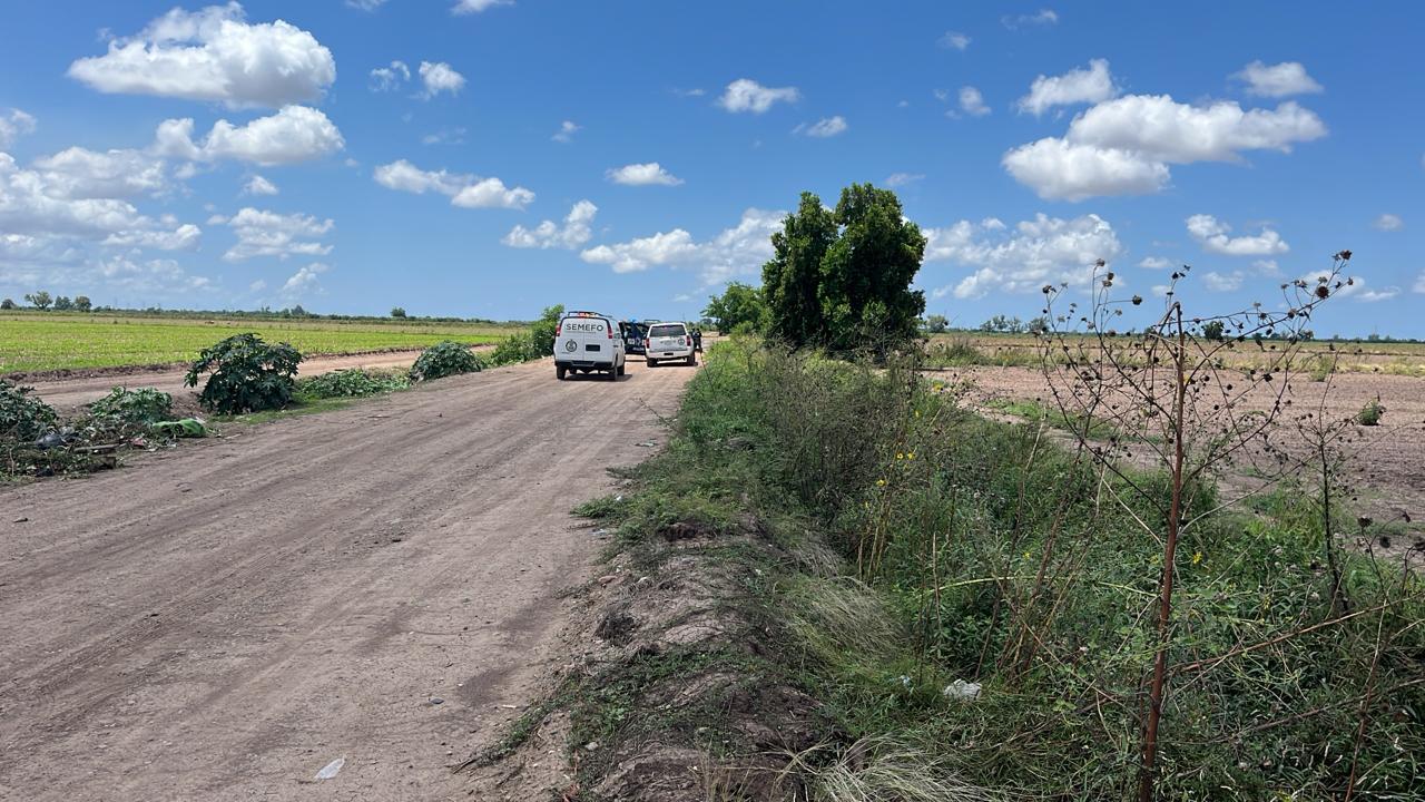 $!Hallan a hombre asesinado con huellas de violencia en predio agrícola de Navolato