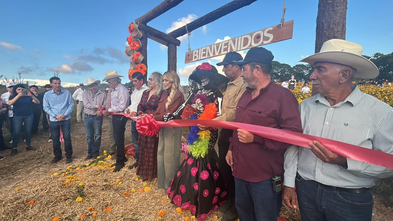 $!Inauguran en Surutato el primer campo de cempasúchil de Sinaloa