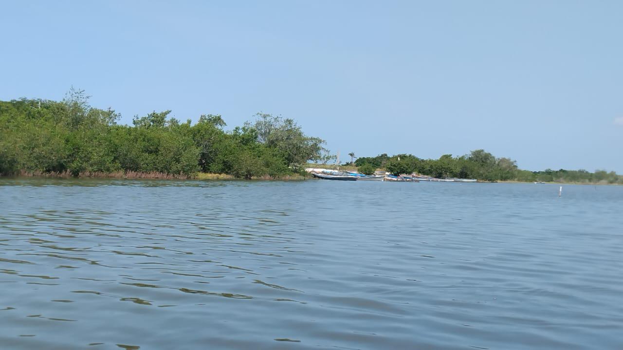 $!Desolador inicio de capturas del camarón, señalaron pescadores del sur de Sinaloa