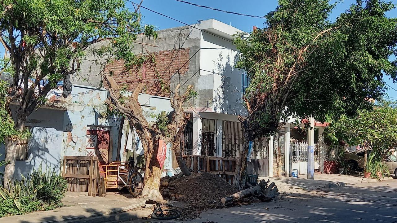 $!A más de 15 días del azote de ‘Pamela’, árboles y ramas arrancados por los vientos bloquean banquetas y vialidades de Mazatlán