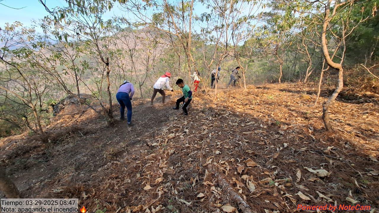 $!Reporta Gobierno de Sinaloa que incendio en sierra de Concordia está controlado