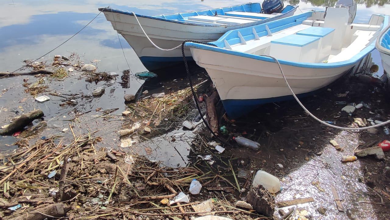 $!En Mazatlán, nada detiene la destrucción del Estero del Infiernillo