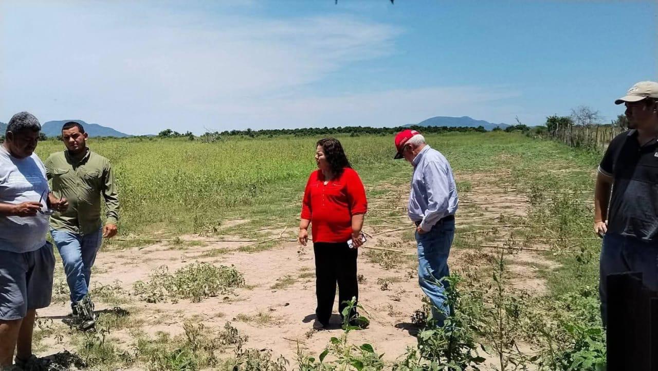 $!Confirma Jumapae nuevo pozo para el acueducto Baluarte-Escuinapa, en Rosario