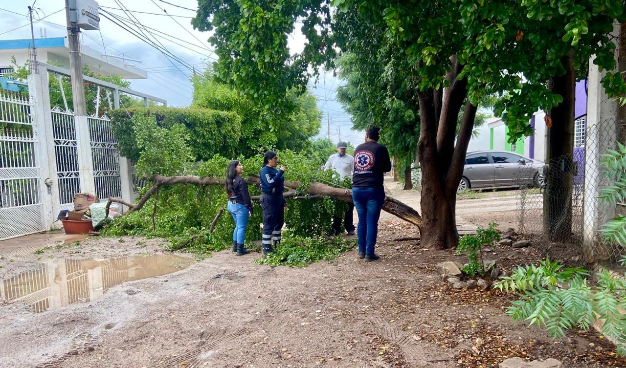 $!Por lluvias se desborda canal en Costa Rica y daña cinco viviendas