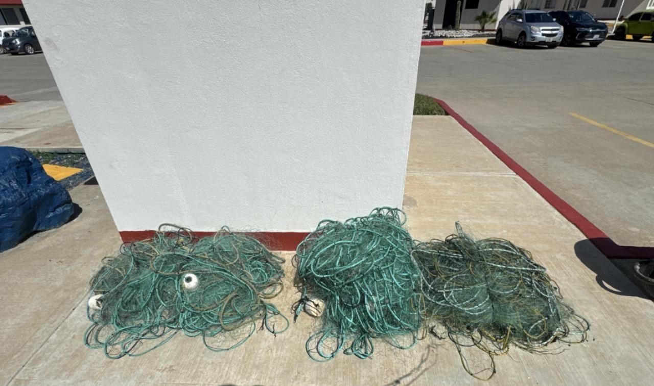 $!Marina libera aproximadamente 50 langostas rojas y asegura redes de enmalle en Ensenada, Baja California