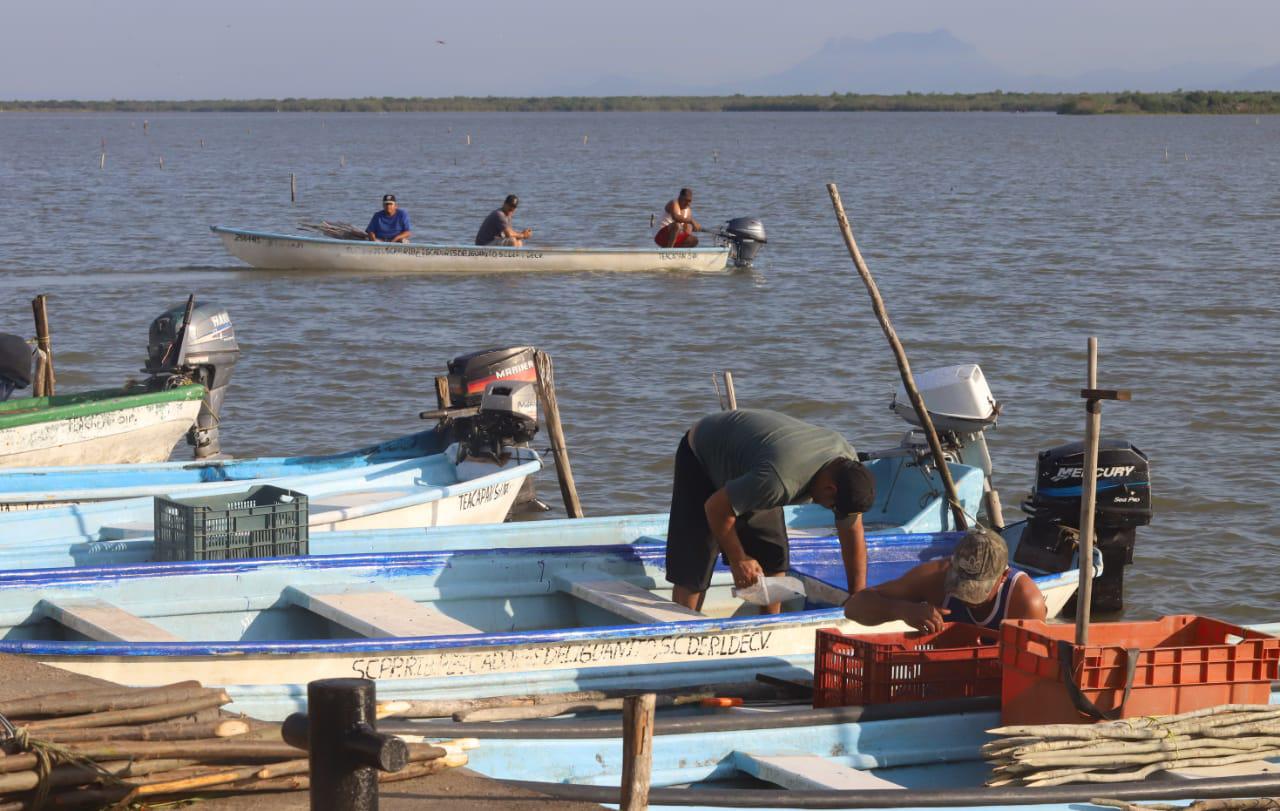 $!Pescadores de Los Pozos y Teodoro Beltrán, listos para la captura de camarón
