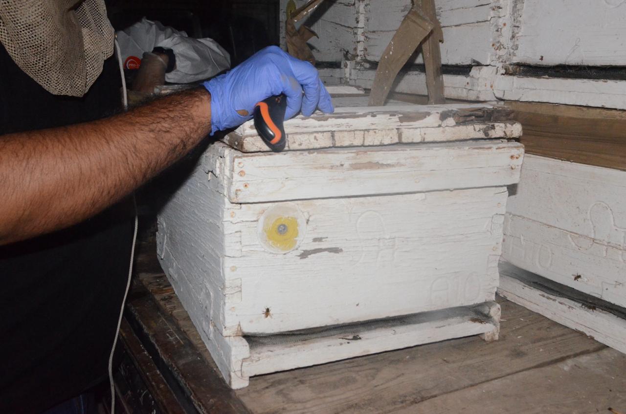 $!Aseguran 1.2 millones de pastillas de fentanilo en panales de abeja al norte de Culiacán