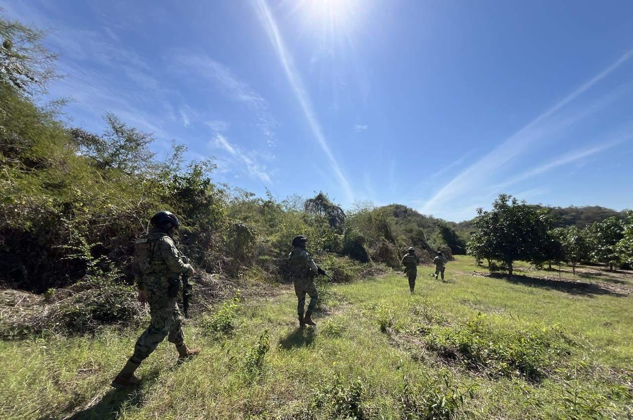 $!Marina asegura campamento, armas, municiones y vehículos en Sinaloa