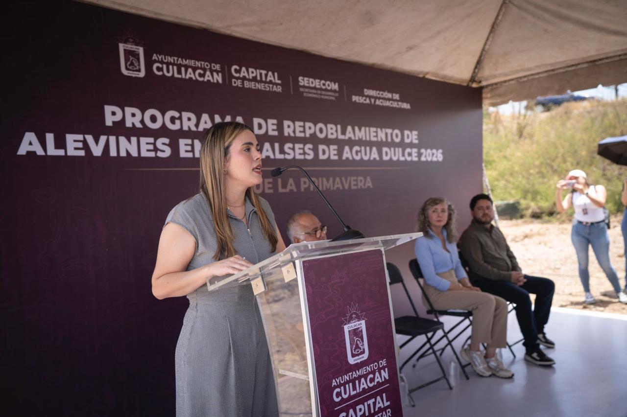$!Sembrará Ayuntamiento de Culiacán 2.3 millones de alevines en 14 embalses del municipio