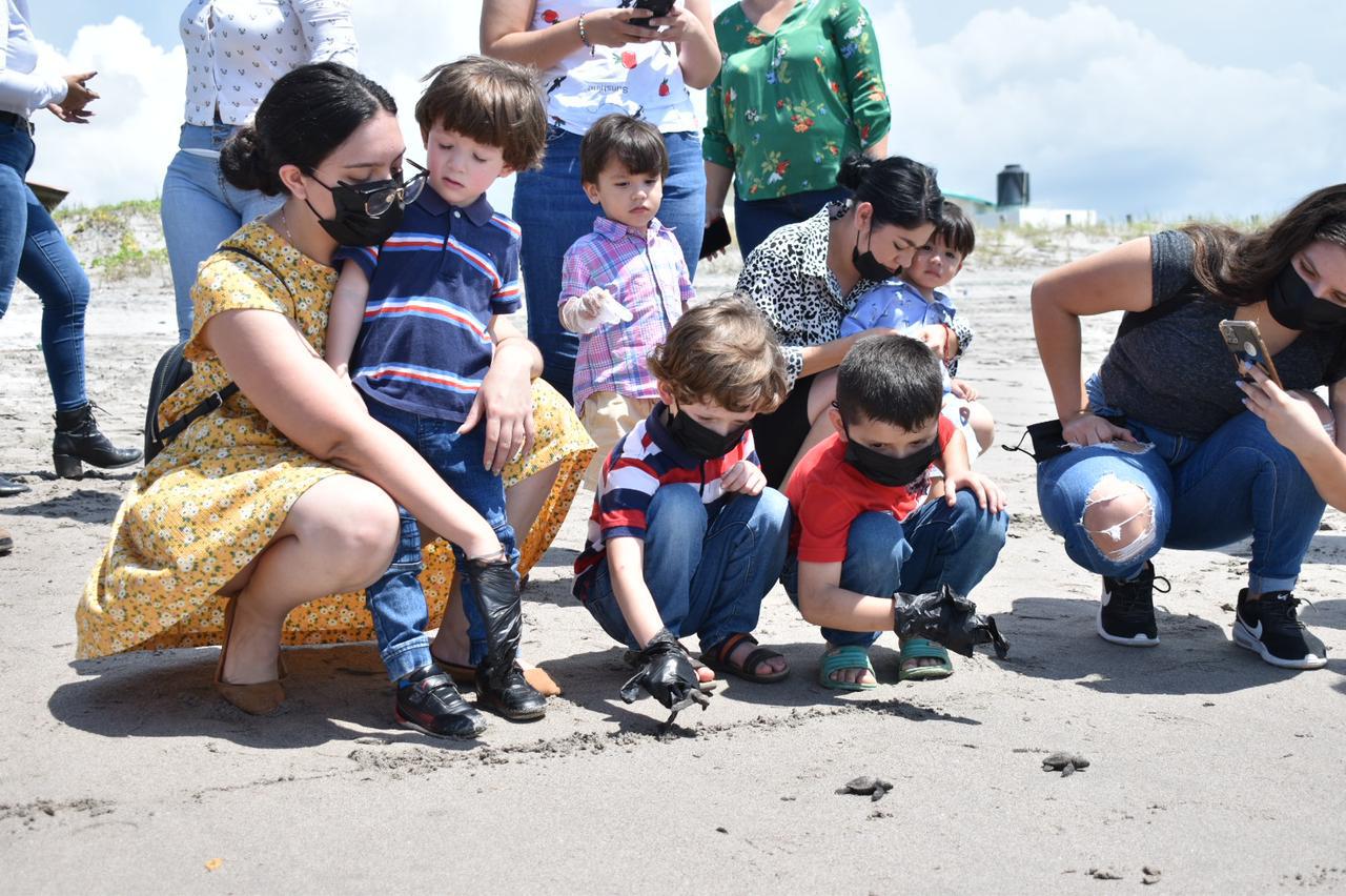 $!Inicia temporada de liberación de tortuga marina en Elota