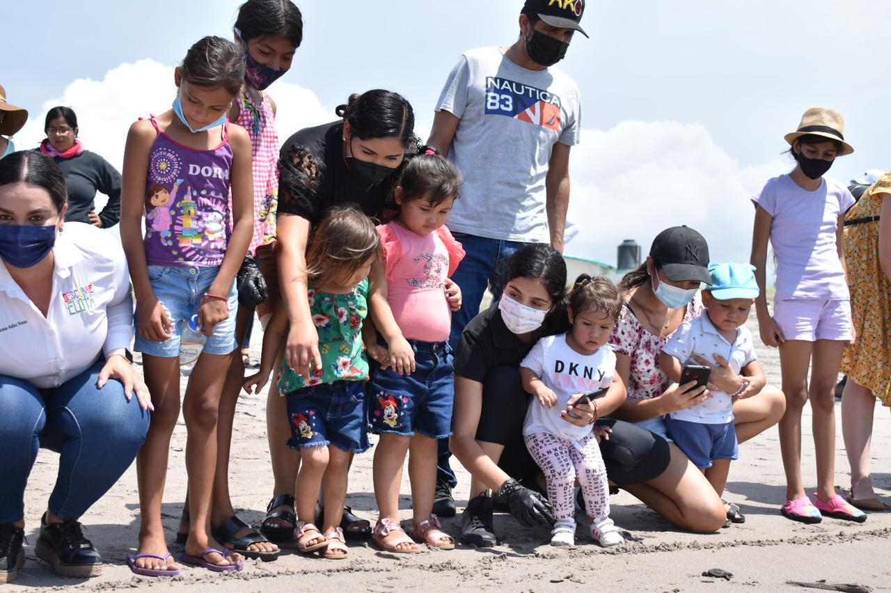 $!Inicia temporada de liberación de tortuga marina en Elota