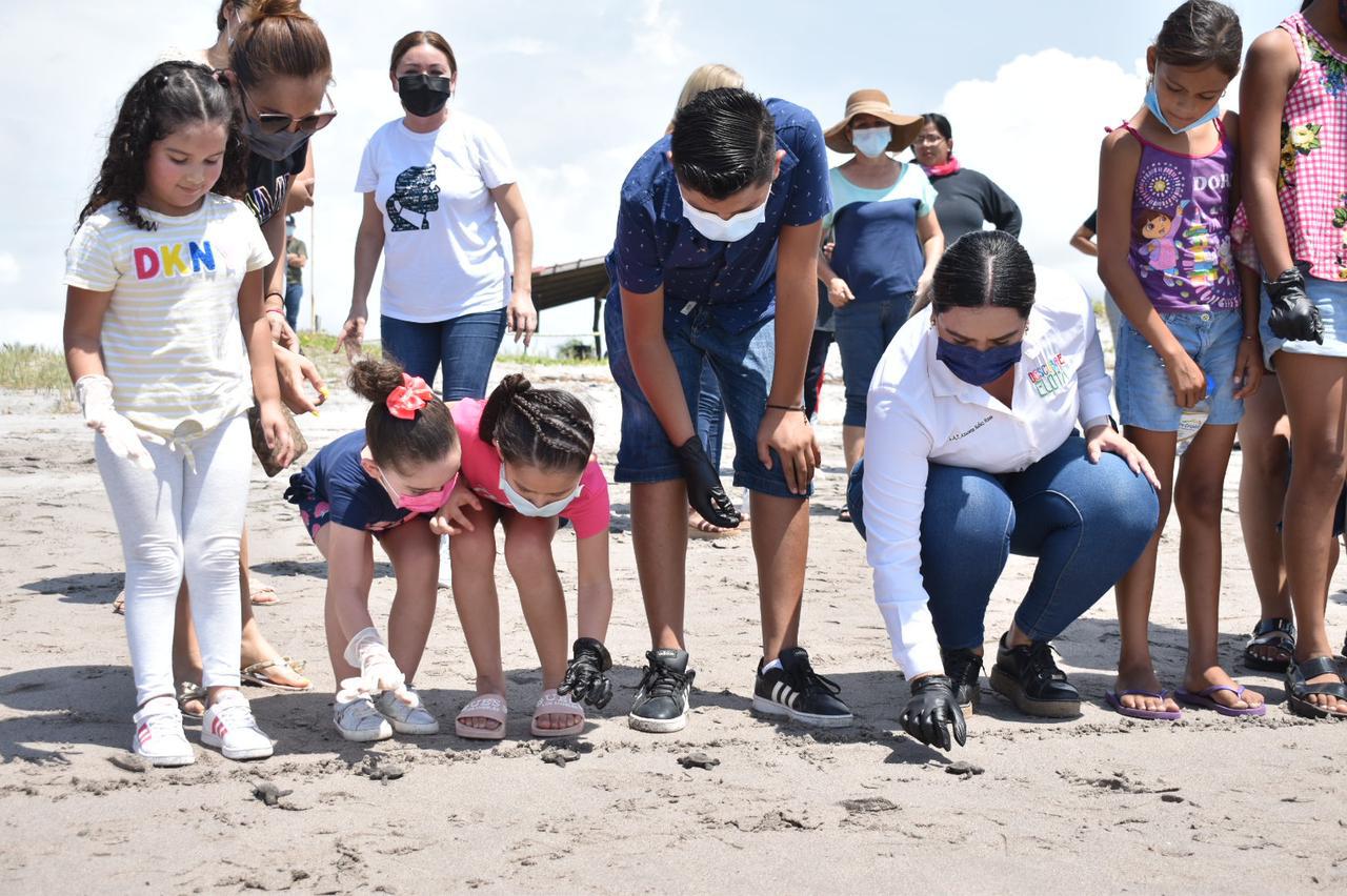 $!Inicia temporada de liberación de tortuga marina en Elota