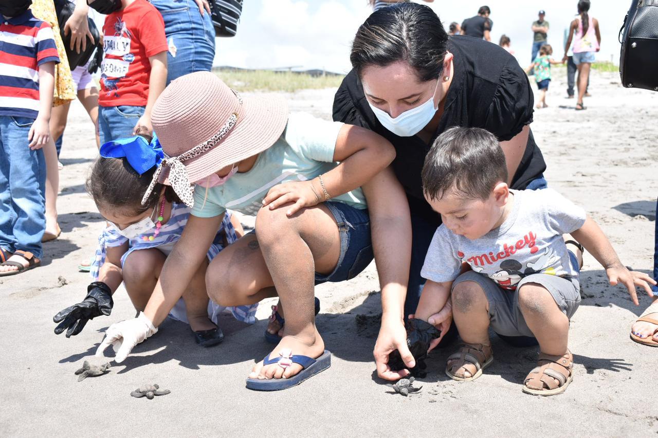 $!Inicia temporada de liberación de tortuga marina en Elota