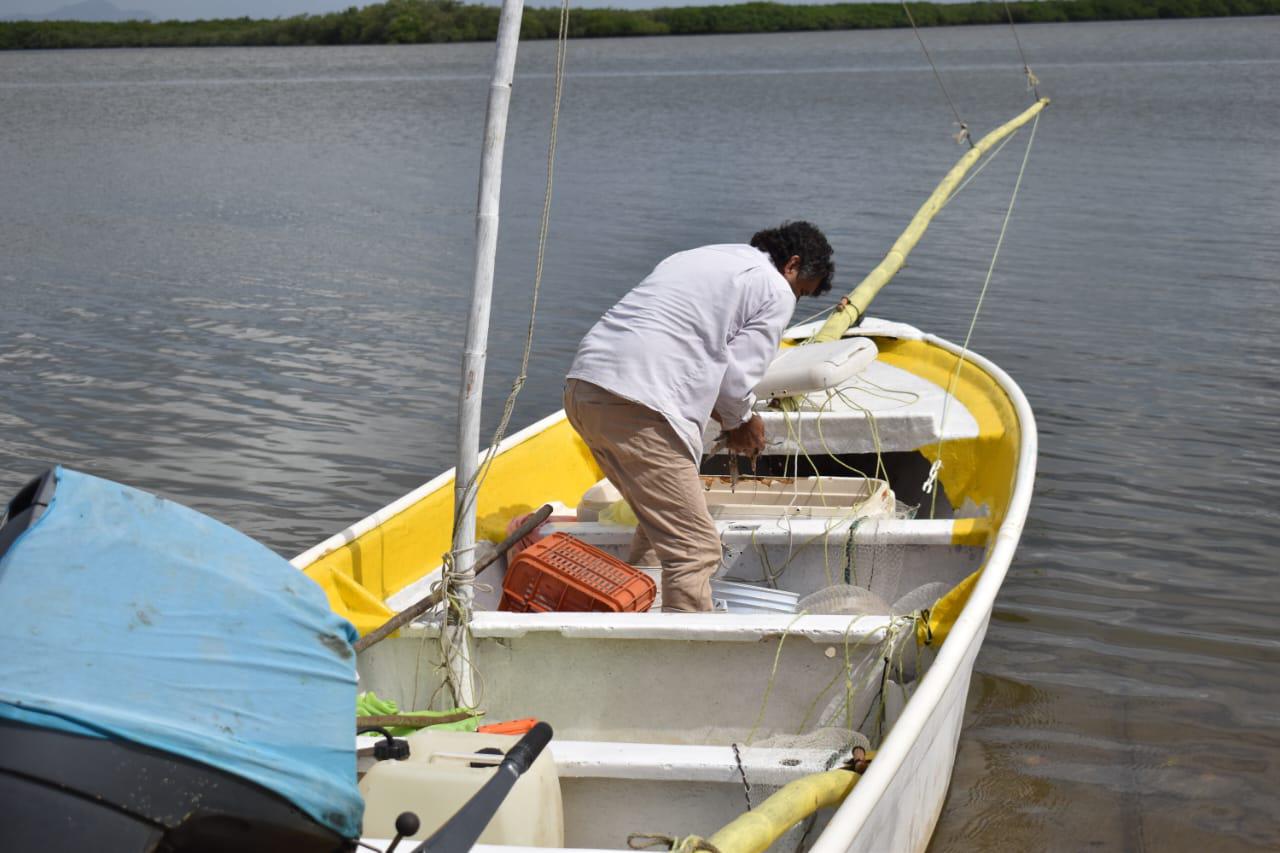 $!Pescadores sinaloenses se ven orillados a vender a 30 pesos el kilo de camarón