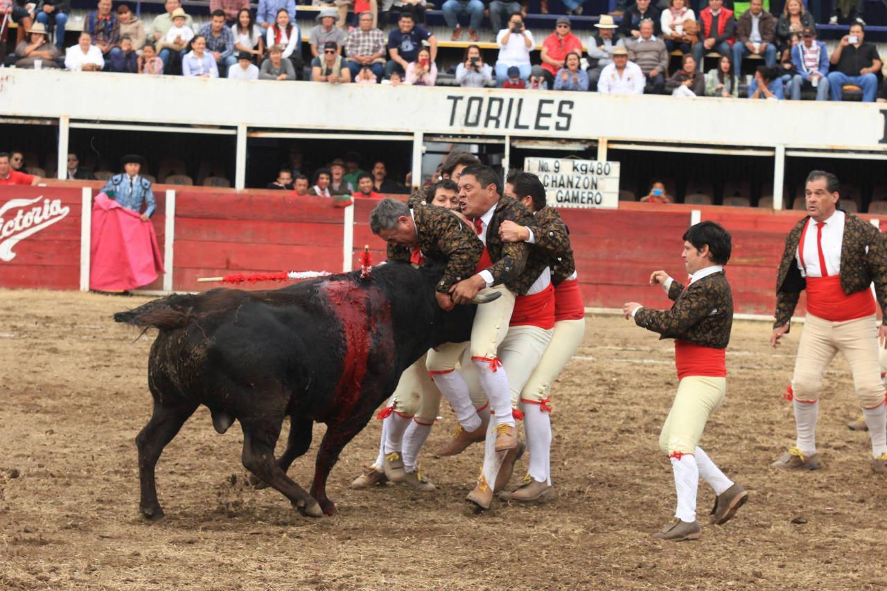 $!Forcado mazatleco Adán Flores ejecuta la última ‘pega’