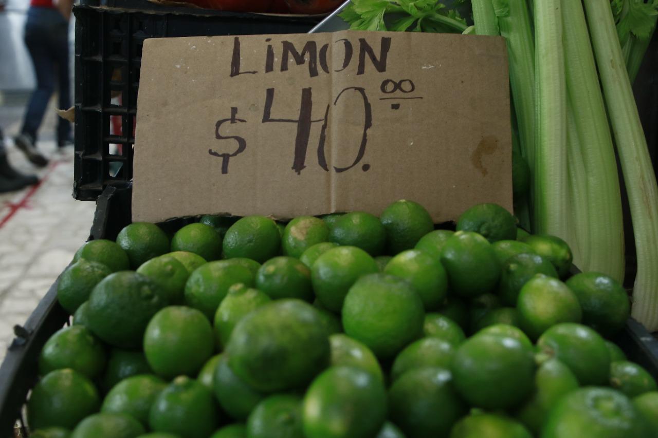 $!En Culiacán, el kilo de aguacate se vende hasta en $100; el limón se mantiene a la baja
