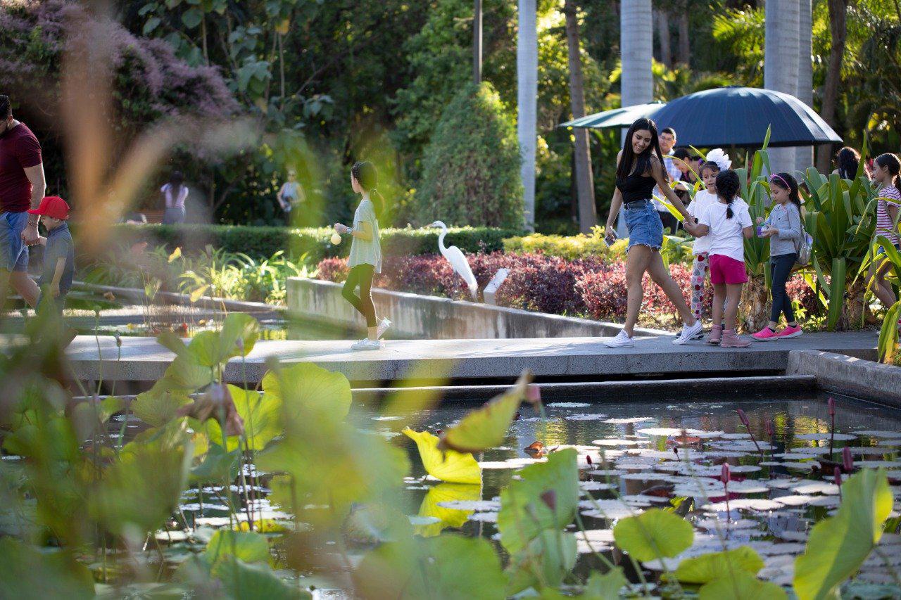 $!Incluye La Nación a Jardín Botánico de Culiacán como uno de los 7 más lindos del mundo