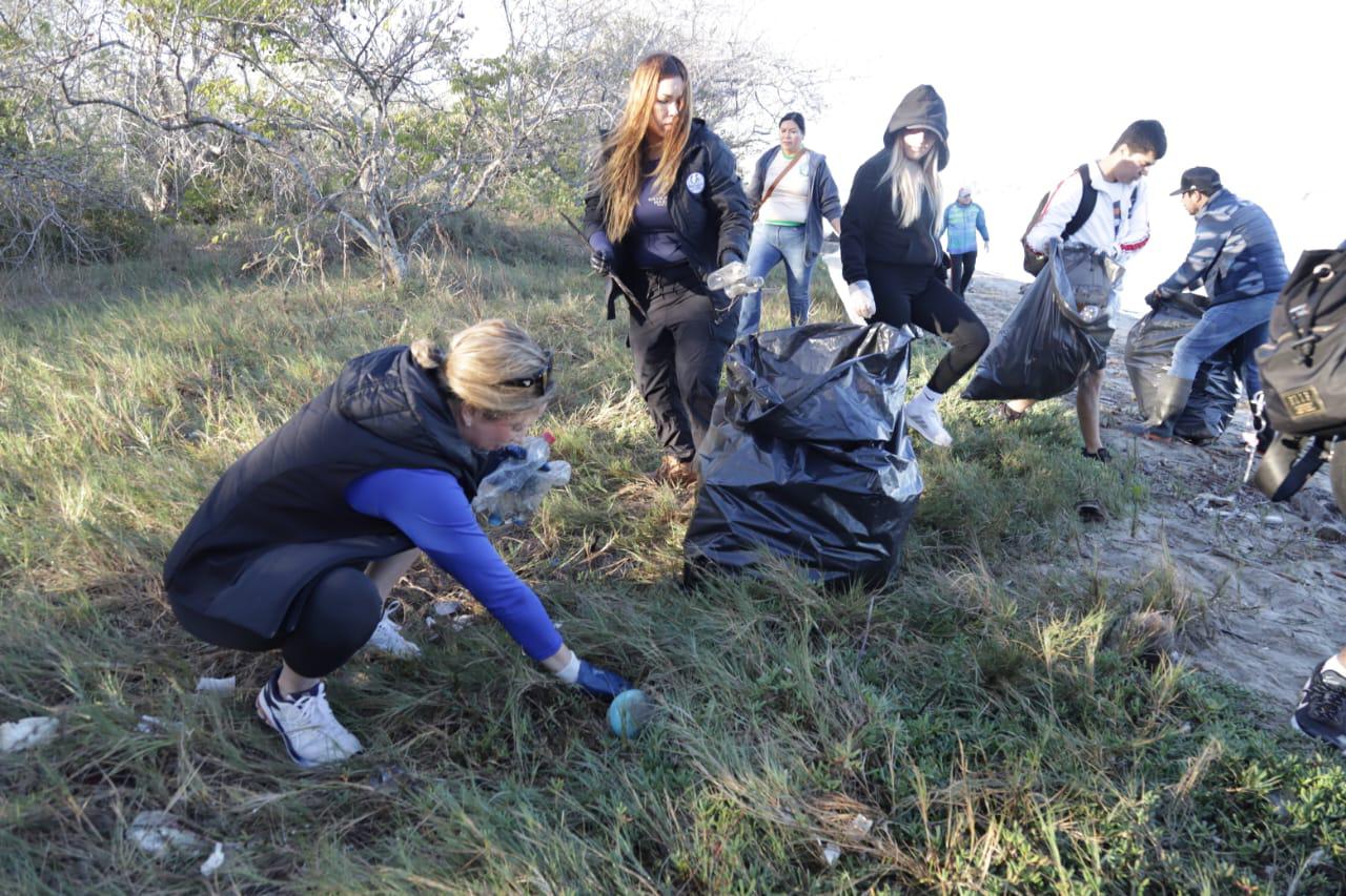 $!Realiza Colectivo MazConCiencia limpieza masiva en el manglar de la Isla de la Piedra