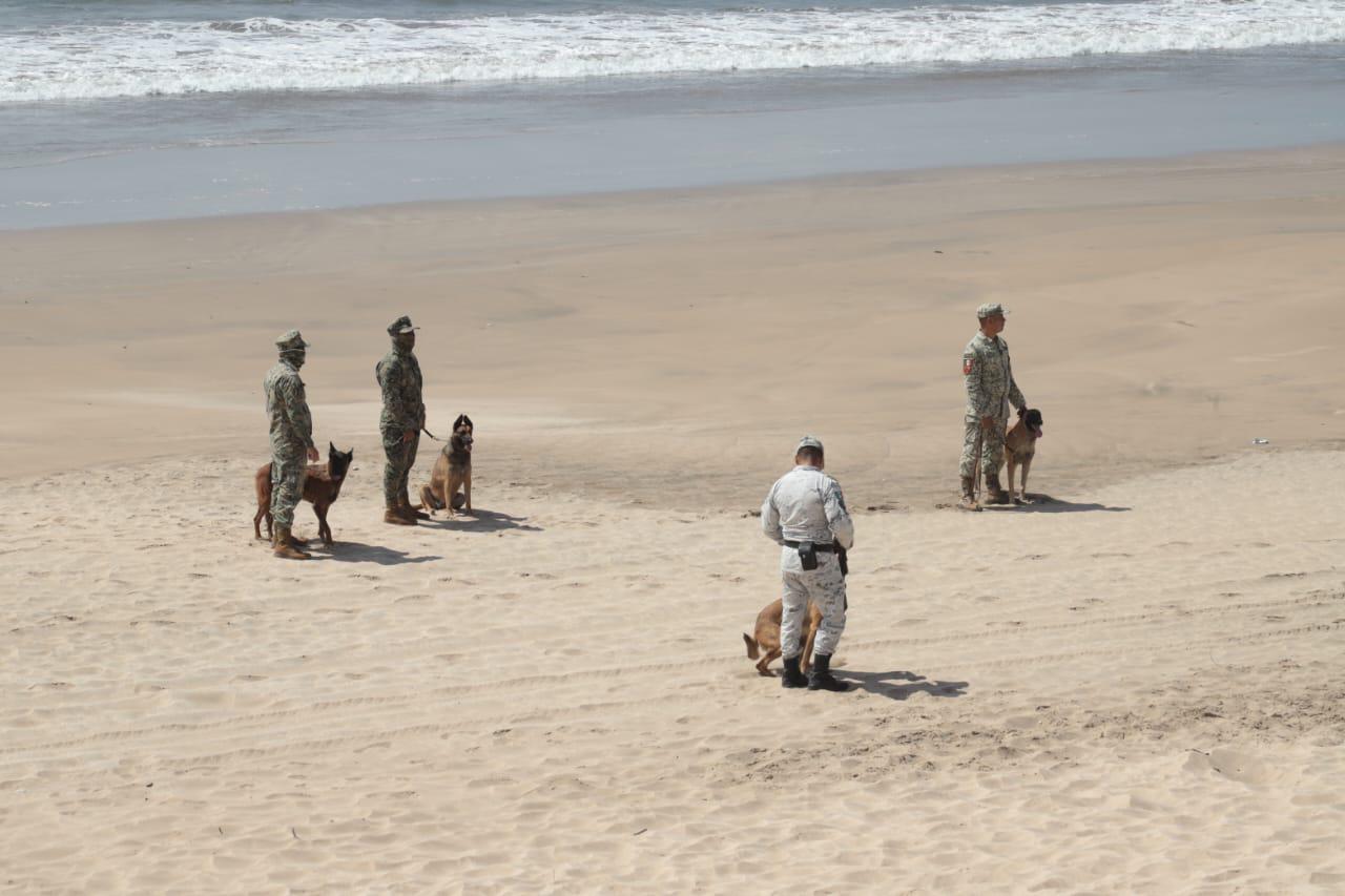 $!Realizan militares operativo de búsqueda con perros entrenados en playa de Mazatlán