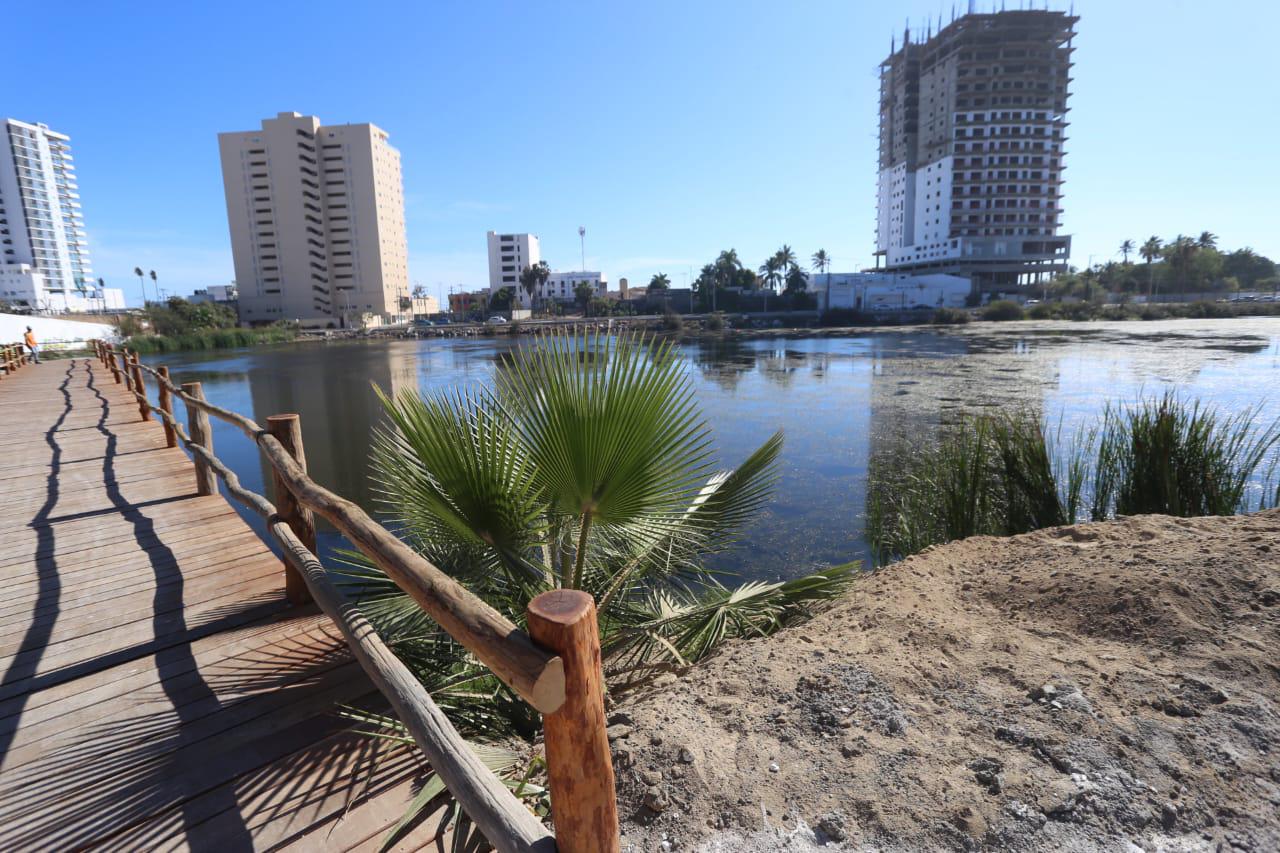 $!‘Emerge del océano’ Nuevo Acuario Mazatlán Mar de Cortés y muestra su belleza al mundo