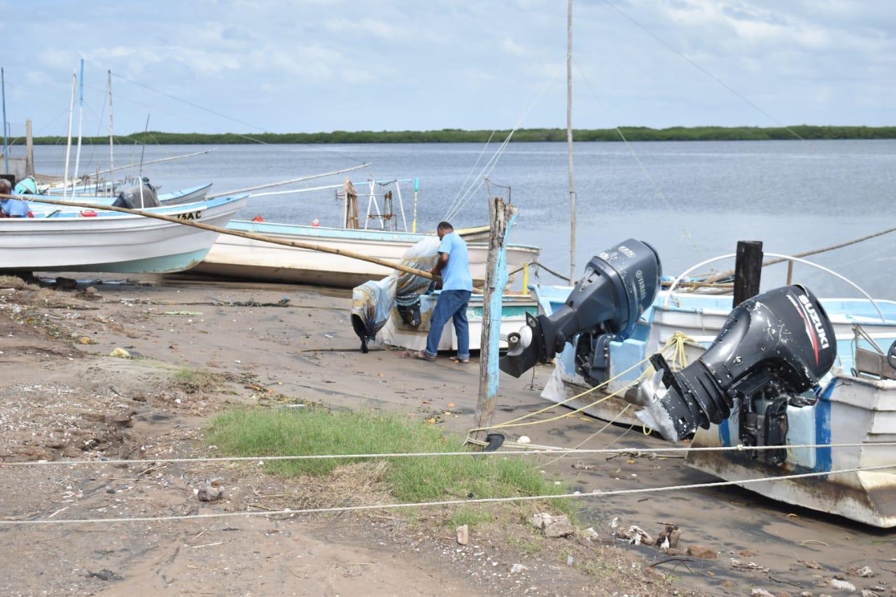 $!Pescadores sinaloenses se ven orillados a vender a 30 pesos el kilo de camarón