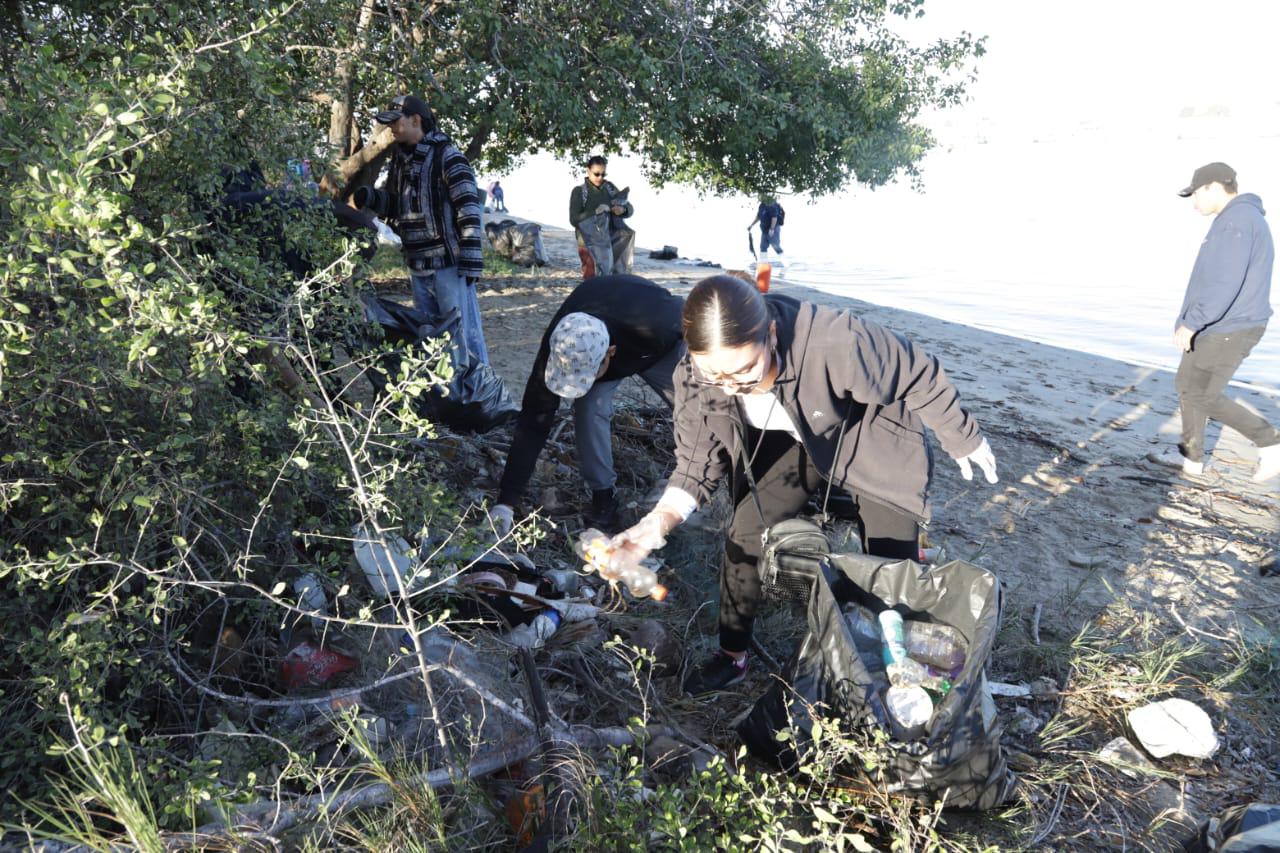$!Realiza Colectivo MazConCiencia limpieza masiva en el manglar de la Isla de la Piedra