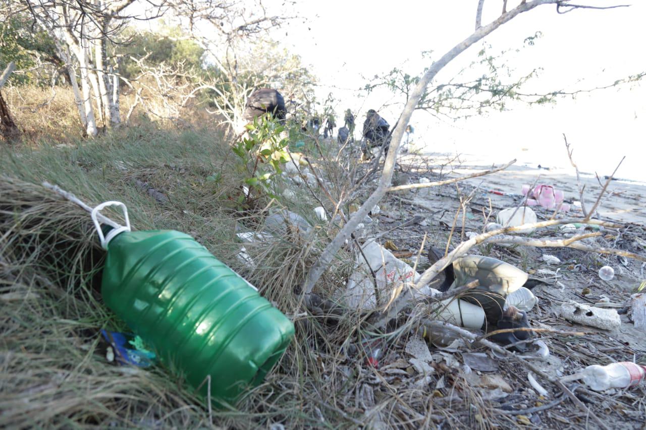 $!Realiza Colectivo MazConCiencia limpieza masiva en el manglar de la Isla de la Piedra