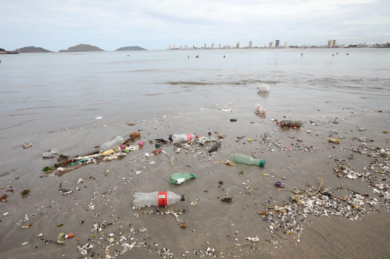 $!En Mazatlán, Playa Norte luce llena de todo tipo de basura y contaminantes