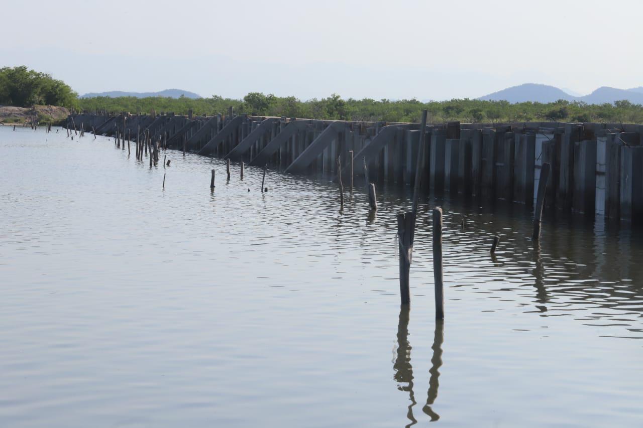 $!Desolador inicio de capturas del camarón, señalaron pescadores del sur de Sinaloa
