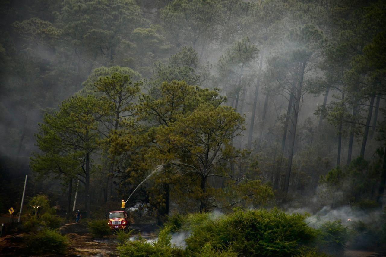 $!Jalisco perdió más de 100 mil hectáreas de bosques a causa de los incendios