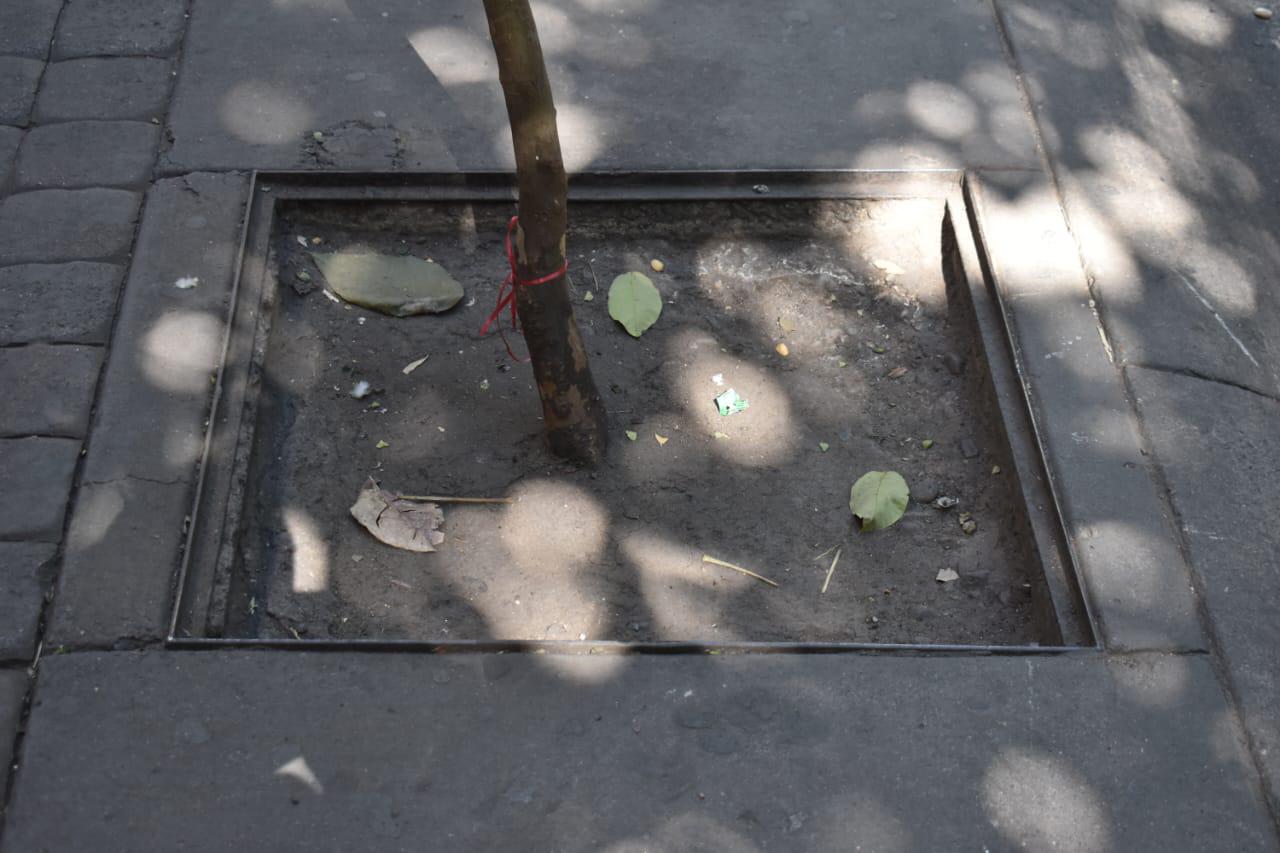 $!Va al 60% rehabilitación del primer cuadro de Culiacán, asegura Protección Civil